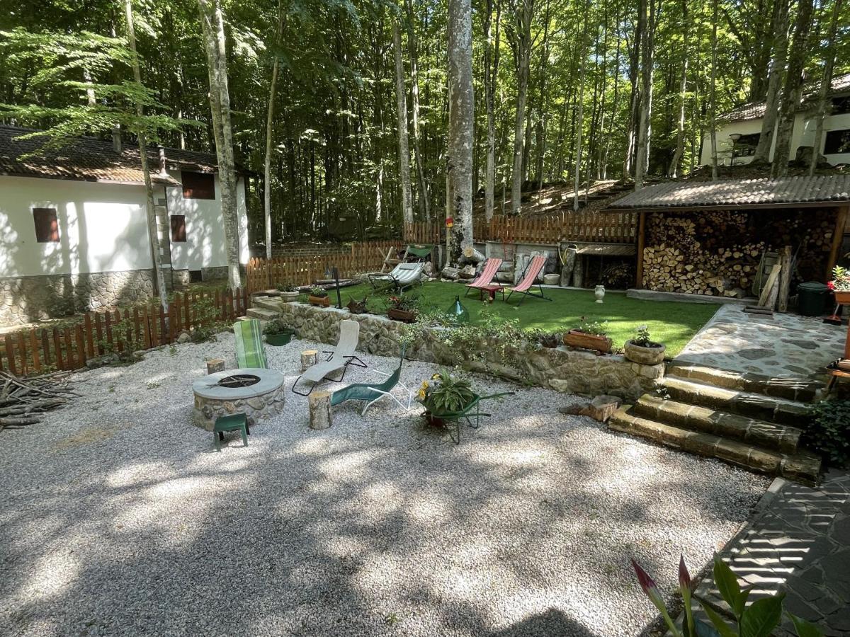 Apartamento Chalet I Folletti Abbadia San Salvator Exterior foto