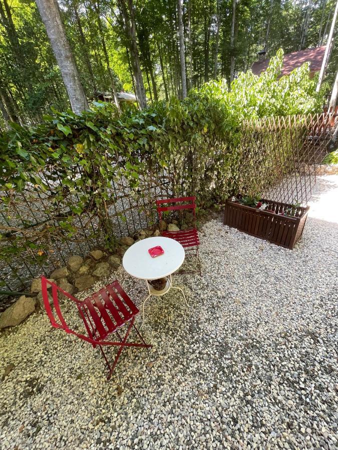 Apartamento Chalet I Folletti Abbadia San Salvator Exterior foto