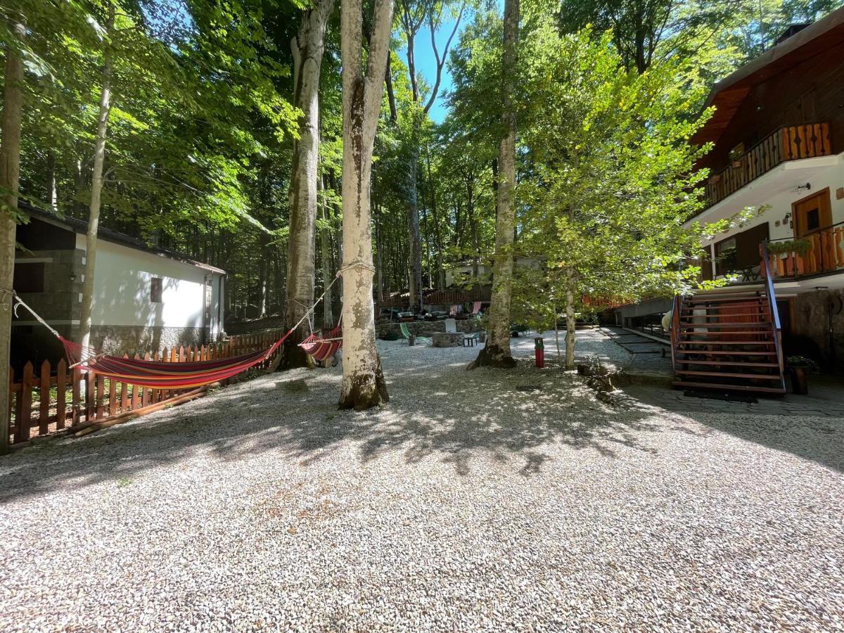 Apartamento Chalet I Folletti Abbadia San Salvator Exterior foto