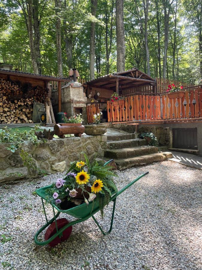 Apartamento Chalet I Folletti Abbadia San Salvator Exterior foto